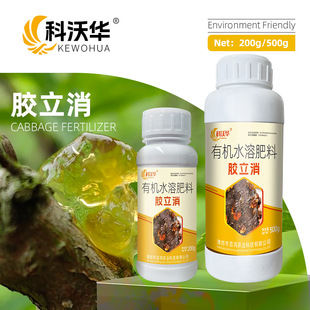 德国进口果树专用解决果树桃树流胶病枯萎腐烂穿孔一喷净有机水提