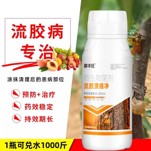 德国进口果树流胶病专用药杏子李子桃树穿孔溃疡疮痂病果树流胶一