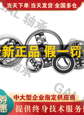 NSK滚珠1304日本1305进口1306高温1307轴承1308调心球1309 K C3