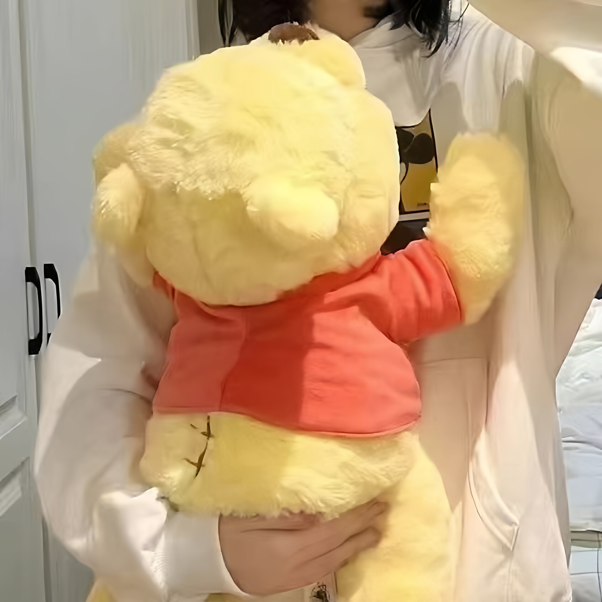 小熊维尼玩偶公仔趴趴史