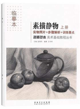 描静物上册名师范本美术基础