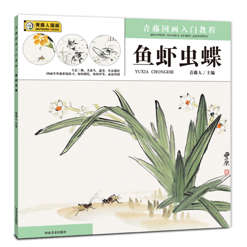 新书 青藤国画入门教程 鱼虾虫碟 写意国画基础教程青少年初学中国画