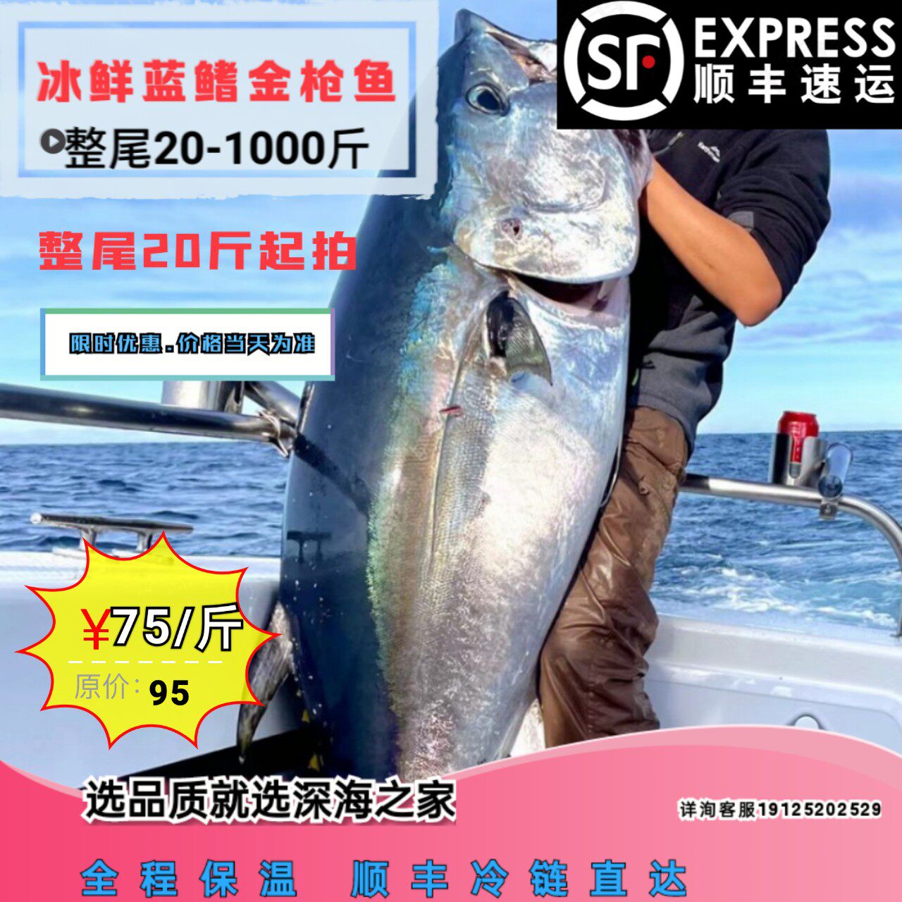西班牙蓝旗金枪鱼整条 新鲜放血冰鲜深海鱼吞拿鱼生海鲜刺身 推荐
