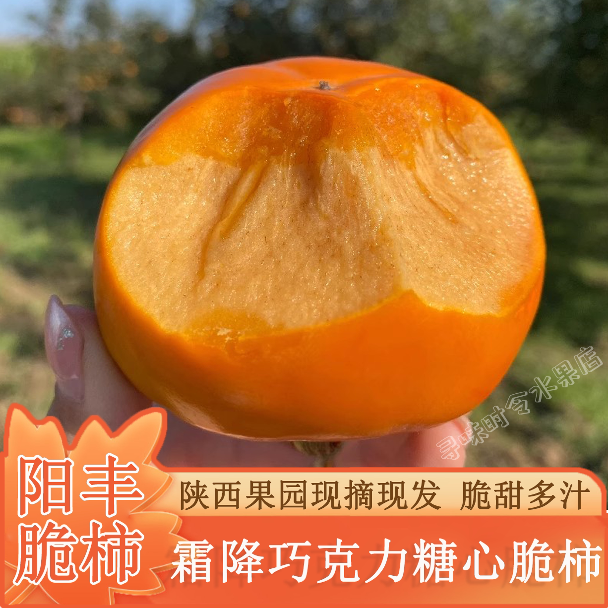 陕西阳丰脆柿子巧克力脆柿子脆甜化渣糖心霜降树上熟新鲜现摘