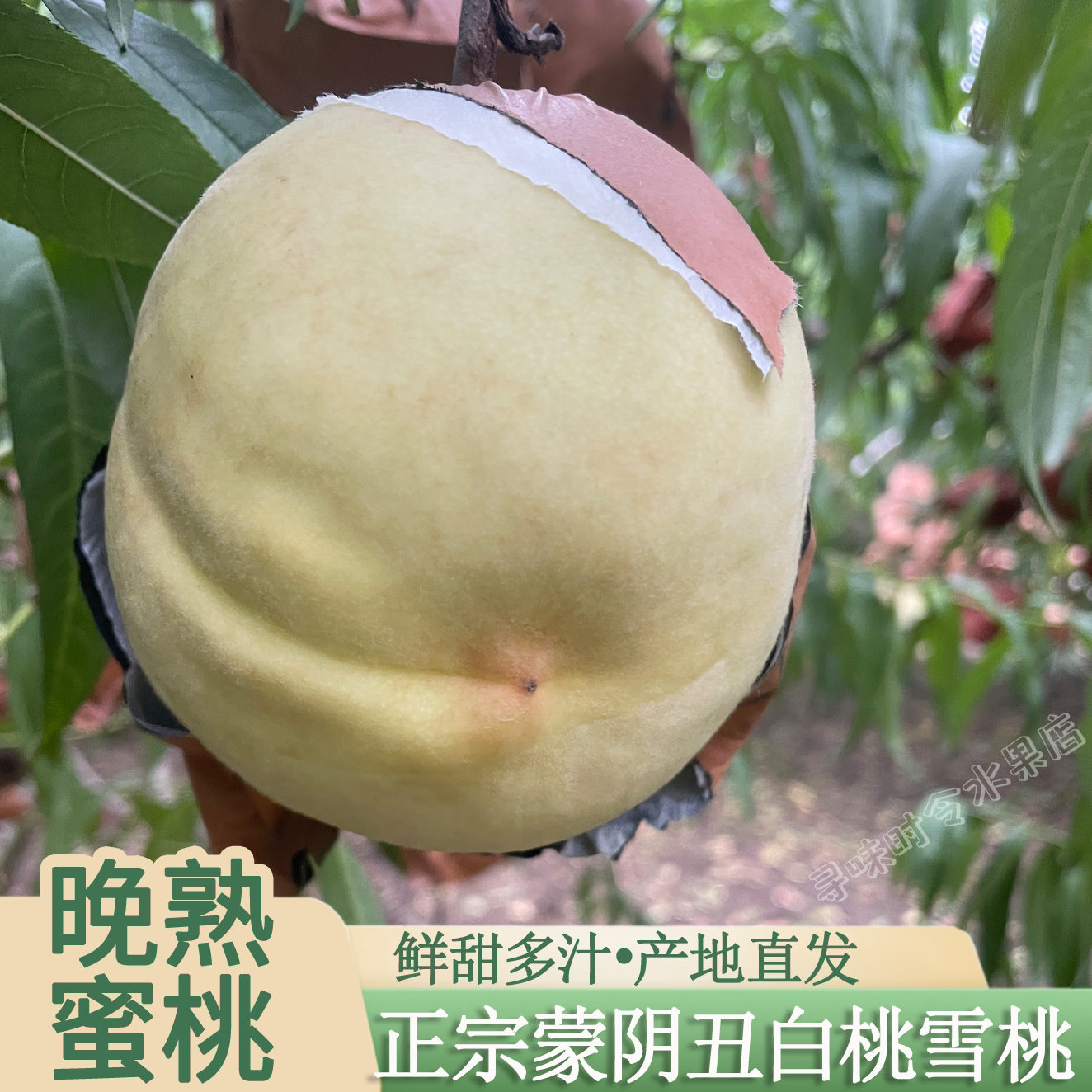 蒙阴丑白桃脆甜多汁新鲜