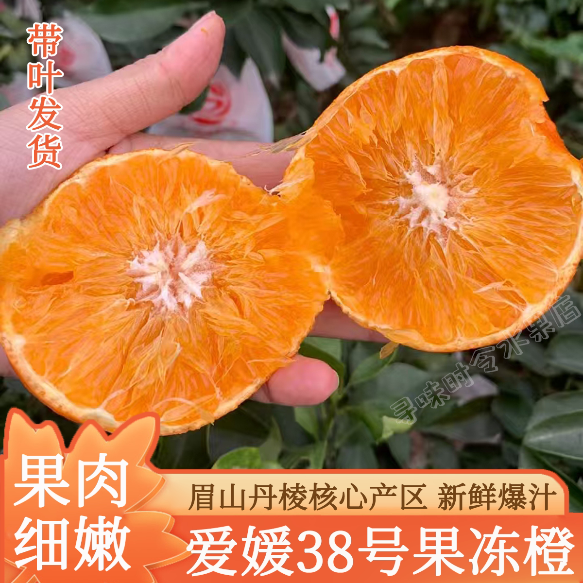 【5A品质大果】眉山爱媛果冻橙