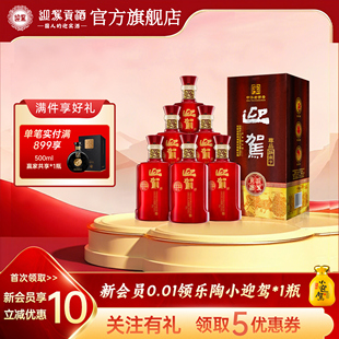 6瓶浓香型纯粮食白酒 迎驾贡酒淮南子尊品42度450ml 官方旗舰