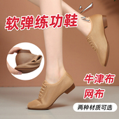 鞋 网布夏季 女士低跟广场舞交谊舞软底古典练功教师舞蹈鞋 GY练功鞋