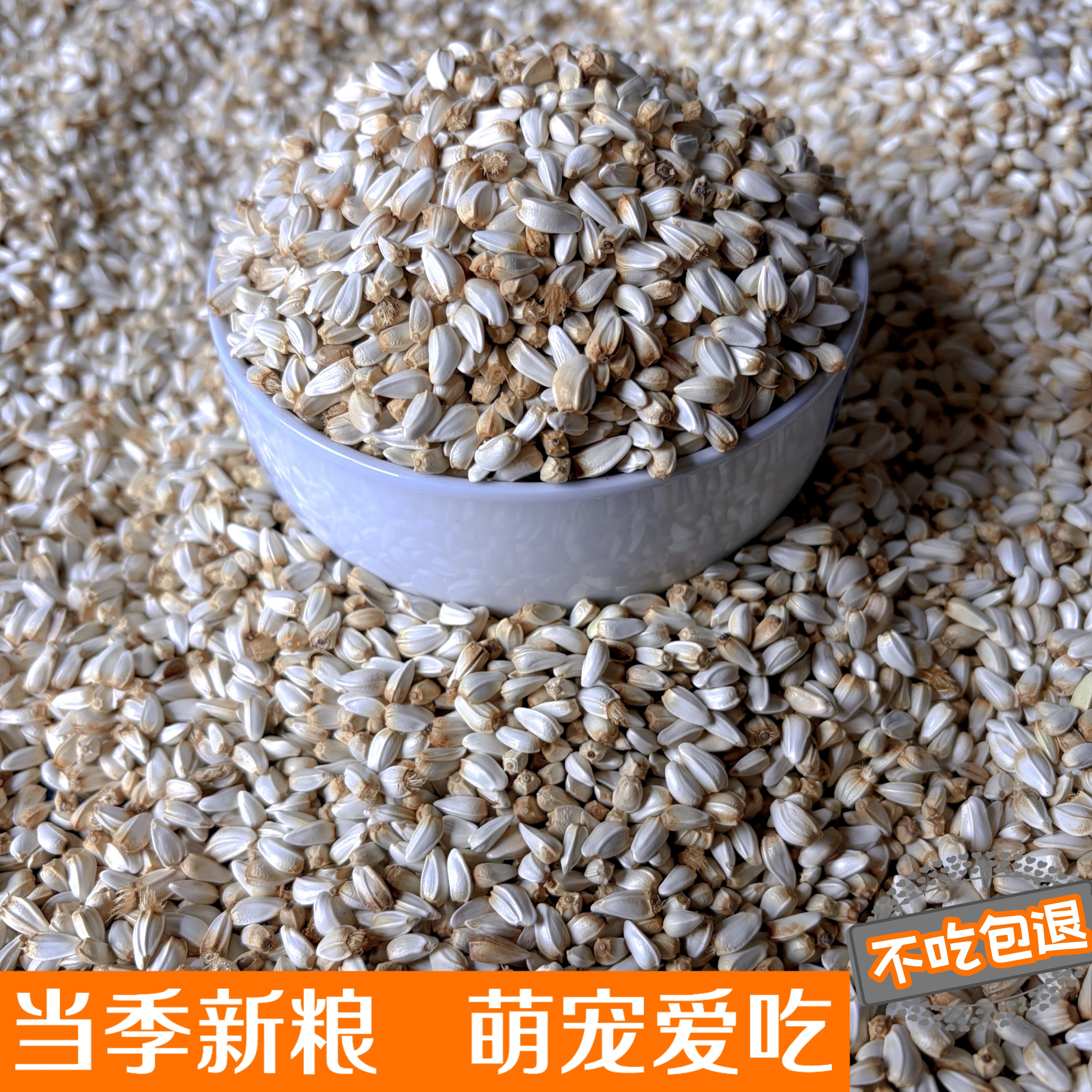 当季新粮红花籽子鹦鹉鸟食鸽子粮家养宠物零食仓鼠饲料白瓜子散装