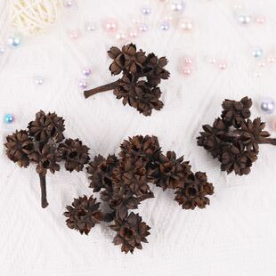 小花椒装饰品乡村花椒干插花装饰花小花椒场地布置道具