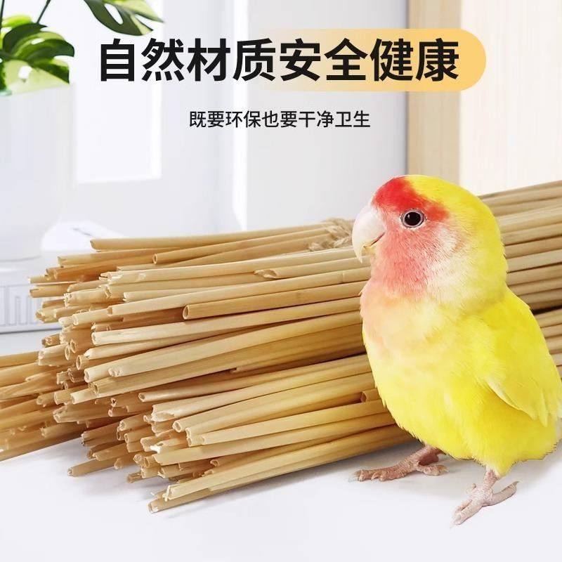 鹦鹉天然麦秆小麦杆子啃咬玩具宠物用品鸟用具配件玄凤牡丹小太阳,宠物/宠物食品及用品,鸟玩具,淘宝优惠券,粉丝福利购,淘宝优惠卷