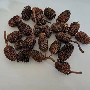 桤木果实水冬瓜果水杨子五陪子水青风果干花圣诞藤圈花环diy材料