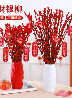 带瓶银柳真花鲜枝春节年宵植物干花红色花卉客厅福桶室内装饰耐寒