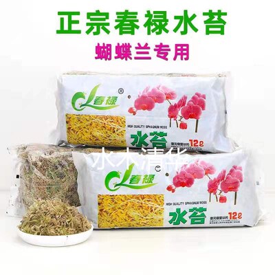 干水苔包邮无菌蝴蝶兰多肉微景观