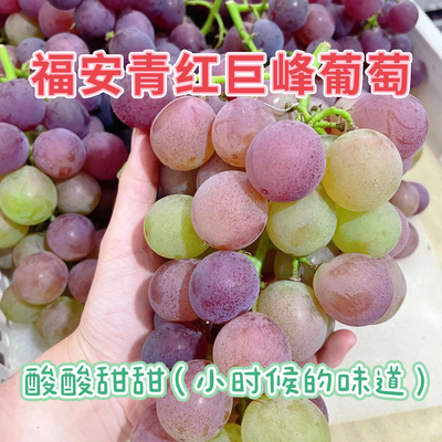 福安青红巨峰老式青葡萄儿时味道