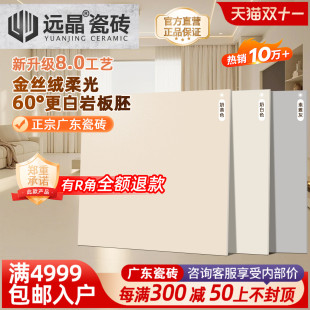 远晶 8.0超晶釉柔光砖金丝绒奶油客厅别墅地砖防滑微水泥瓷砖法式