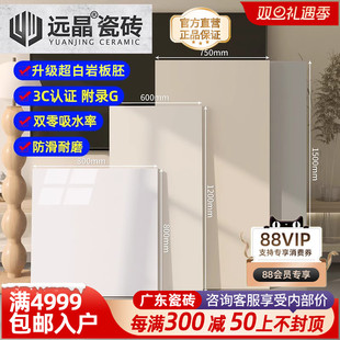远晶 800x800超白坯柔光天鹅绒瓷砖客厅地砖阳台耐磨奶油风咖色
