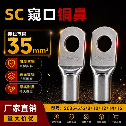 国标SC35加厚窥口紫铜镀锡铜鼻子