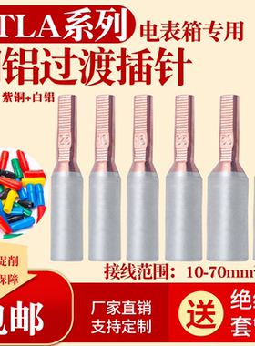 GTLA-16 25 35平方铜铝插针电表箱专用针式接线端子接头接线柱
