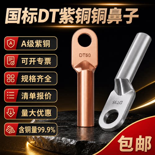 DT国标铜鼻子铜接头接线端子电缆铜线鼻子/50/70平方堵油线耳鼻子
