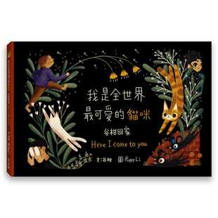 可爱 预售 谷柑 我是全世界 麦浩斯 猫咪—谷柑回家