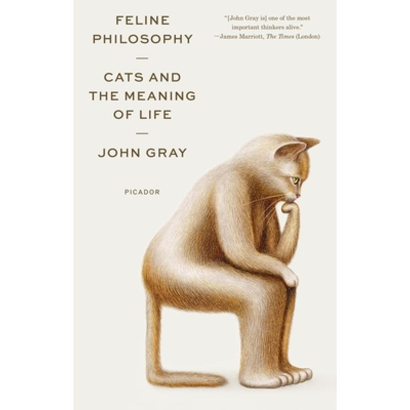 在途 英文原版 feline philosophy: cats and the mean.