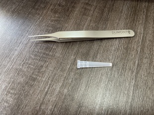Dumont镊子0209-4-PO Dumostar 实验室显微镊子#4