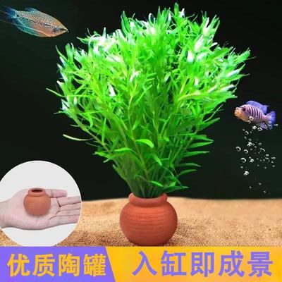 陶罐固定水草用鱼缸造景装饰摆件水草定植陶罐水草沉底环陶罐草杯
