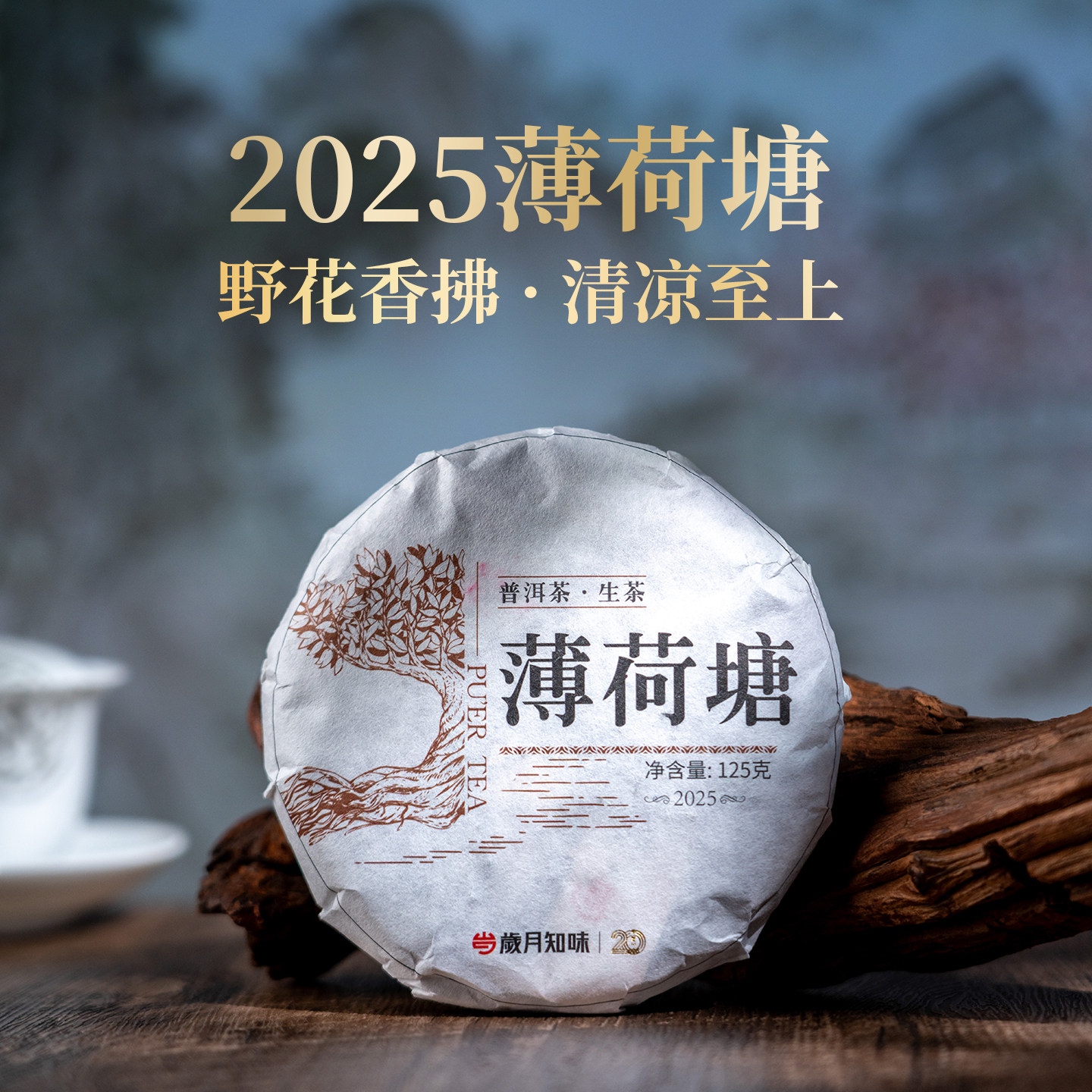 岁月知味2025年薄荷塘普洱生茶云南易武明前头春茶叶节日送礼125g