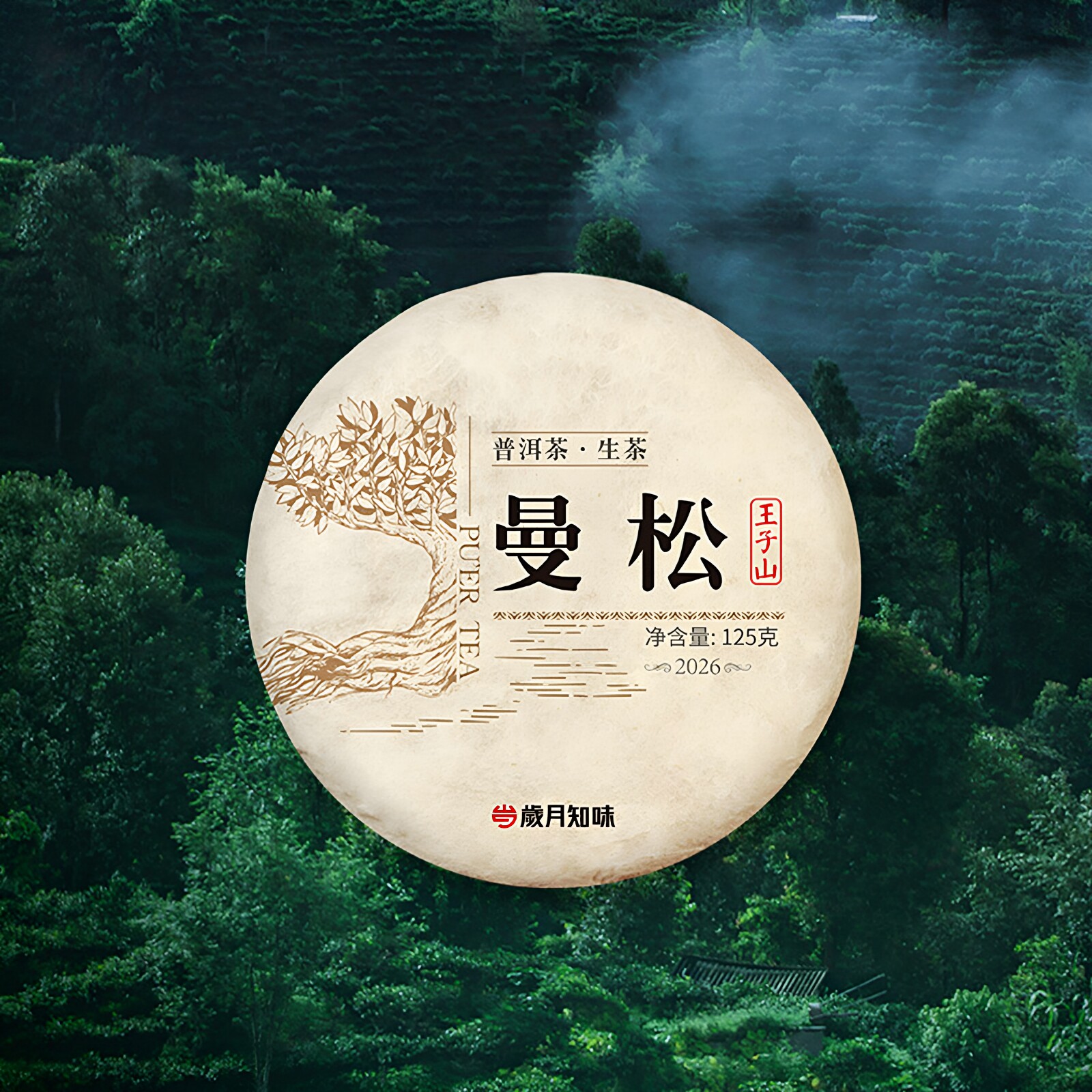 岁月知味2026年曼松王子山云南倚邦明前老树头春普洱生茶茶叶125g