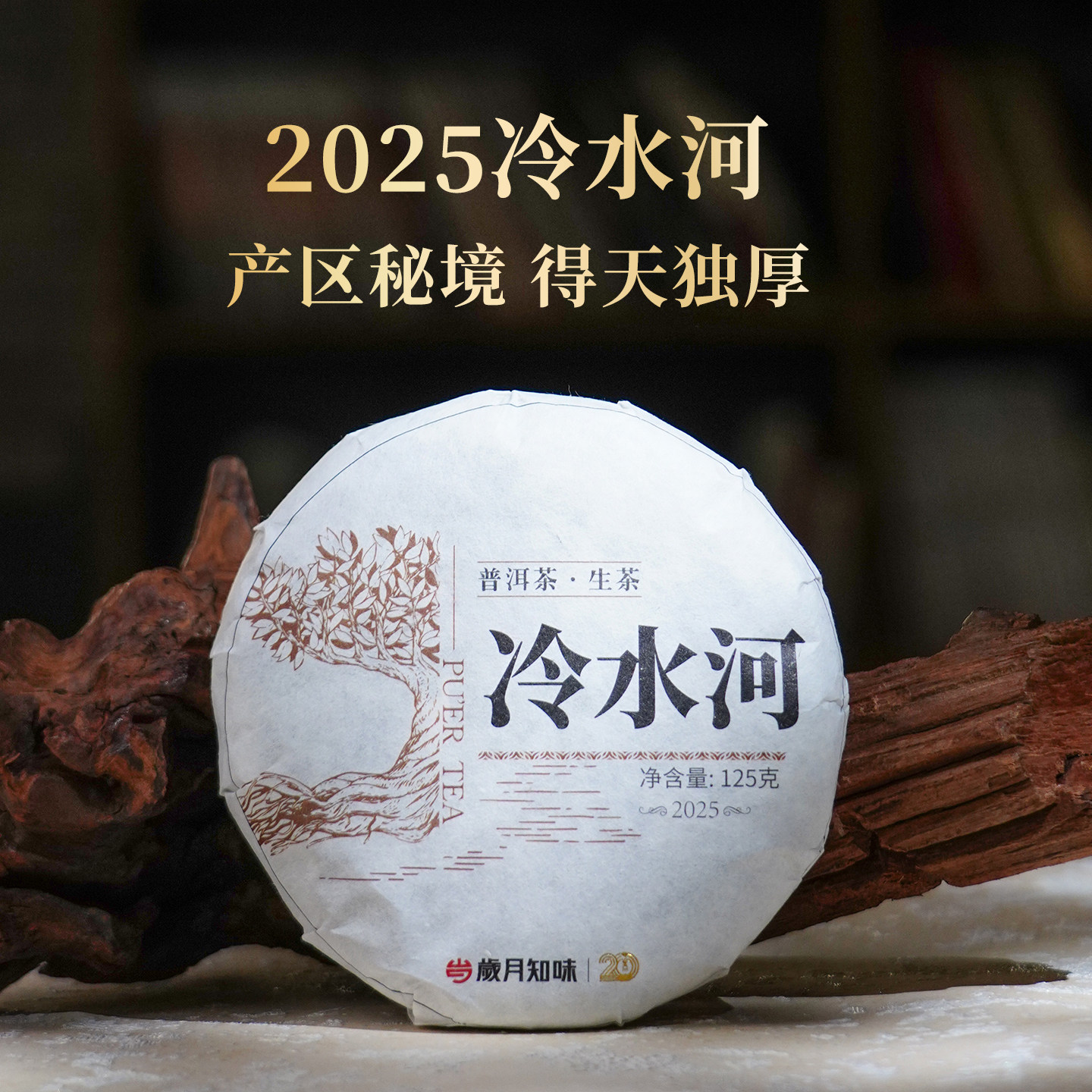 岁月知味2025冷水河普洱茶生茶 易武刮风寨头春古树纯料125g饼茶