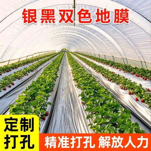 全新料农用银黑双色地膜保温地膜