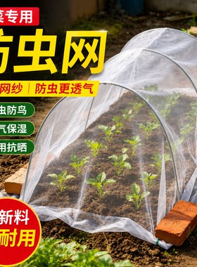 大棚种菜专用防虫网蔬菜种植加厚防虫纱网温室大棚果蔬防护隔离网