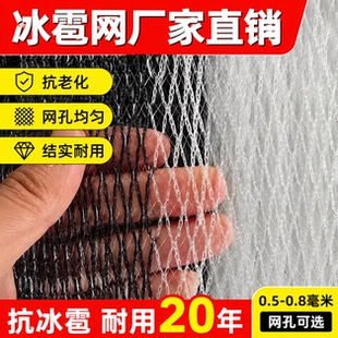 加厚防雹网果园防冰雹网抗老化果树农用网防护网防鸟神器防鸟网