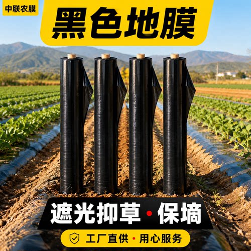 黑地膜农用规格齐全厂家现货速发