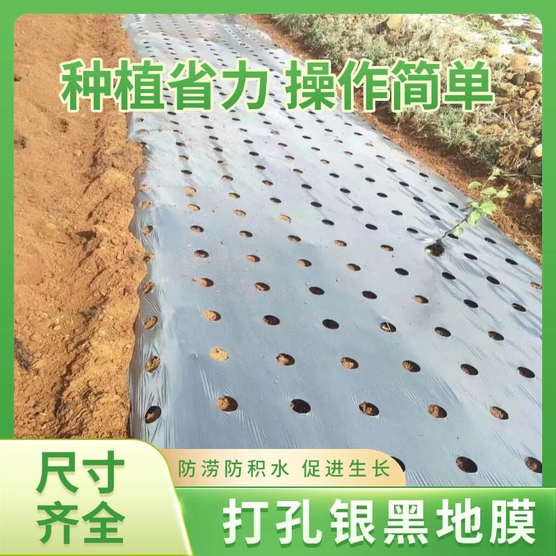打孔银黑地膜农用种植种菜专用塑料薄膜防草保温保湿双色反光带孔,农机/农具/农膜,农用薄膜,淘宝优惠券,粉丝福利购,淘宝优惠卷