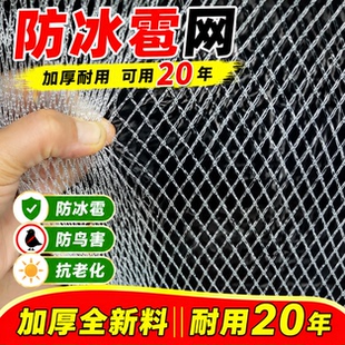 防雹网果园防鸟网樱桃葡萄嘉宝果树防小鸟用的网防冰雹专用防护网