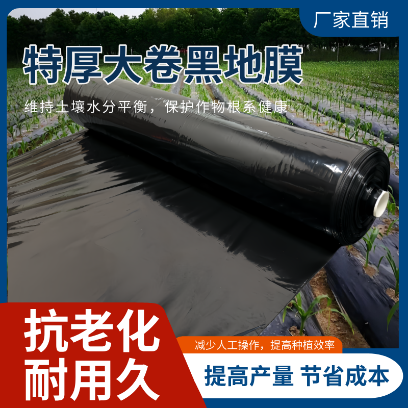 特厚黑农用种植地膜果园黑地膜除草地膜4丝韭黄专用加厚塑料薄膜,农机/农具/农膜,农用薄膜,淘宝优惠券,粉丝福利购,淘宝优惠卷