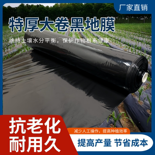 特厚黑农用种植地膜果园黑地膜除草地膜4丝韭黄专用加厚塑料薄膜