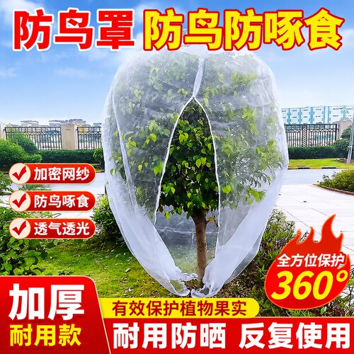 嘉宝果树防鸟罩樱桃树葡萄蓝莓杨梅蔬菜花卉绿植防虫网罩袋抗老化