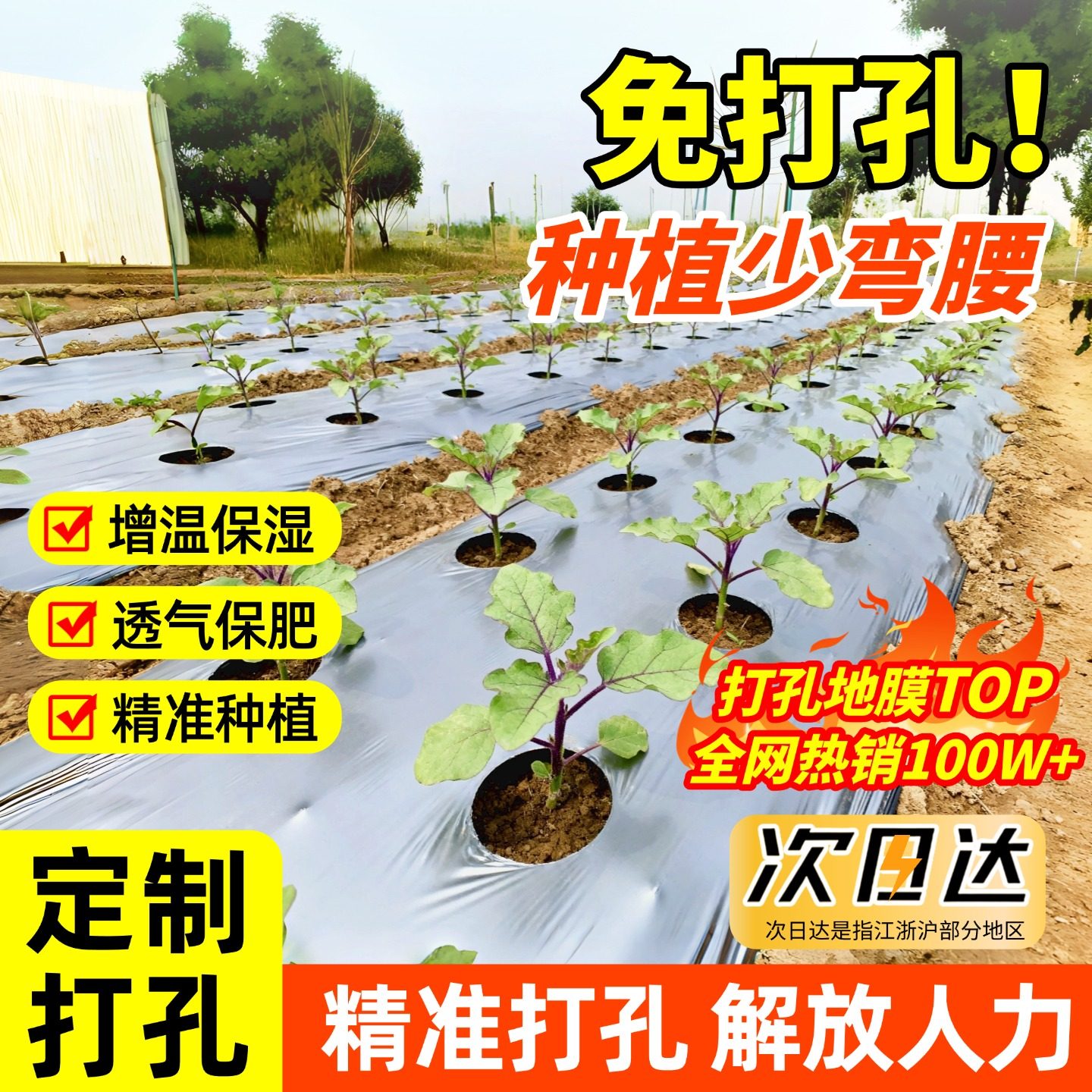 打孔银黑地膜农用种植种菜专用塑料薄膜防草保温保湿双色反光带孔,农机/农具/农膜,农用薄膜,淘宝优惠券,粉丝福利购,淘宝优惠卷