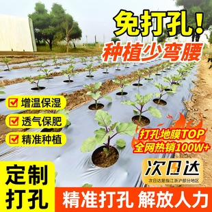打孔银黑地膜农用种植种菜专用塑料薄膜防草保温保湿双色反光带孔