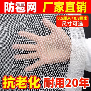 防雹网果园防鸟网葡萄网农用防护网果树防冰雹网神器果园防冰雹网