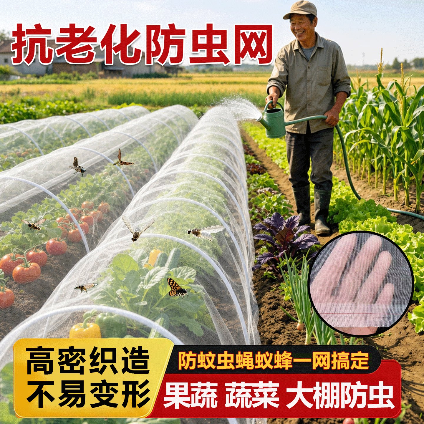 防虫网种菜专用大棚网罩