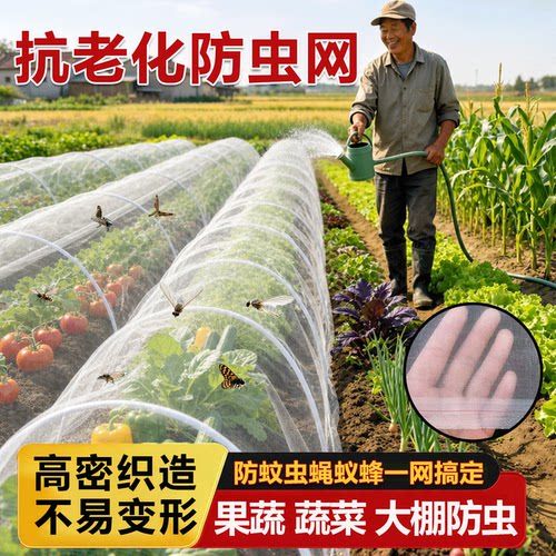 防虫网种菜专用大棚网罩