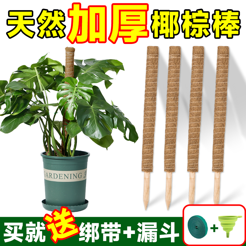 龟背竹支撑杆植物绿箩爬上神器棕棒椰棕柱盆栽绿萝花架子攀爬藤杆