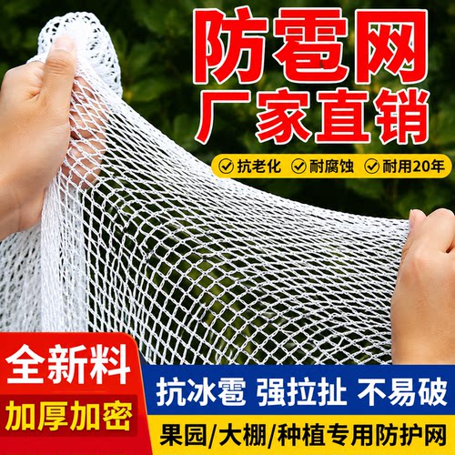 大棚防雹网果园防护网防鸟网抗老化厂家直销苹果葡萄园防冰雹神器