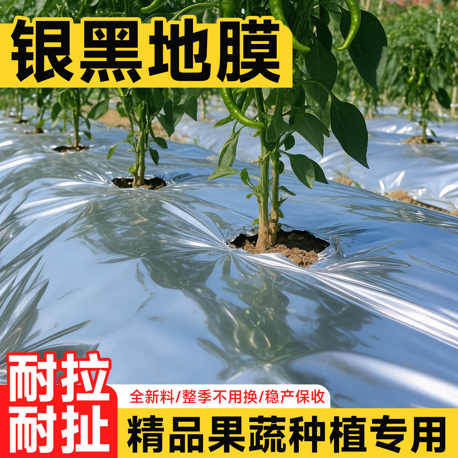 银黑双色地膜农用种植加厚薄膜灰色打孔防草反光蔬菜草莓种菜专用