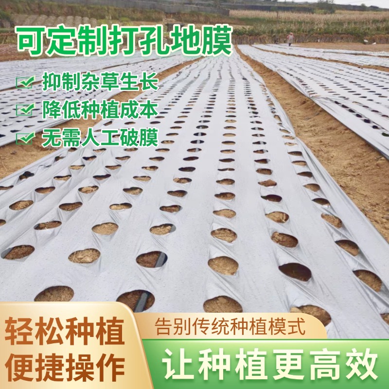 塑料袋定制打孔透气农用地膜