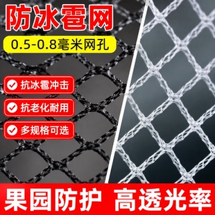 防雹网果园防鸟网葡萄网农用防护网果树防冰雹网神器果园葡萄树